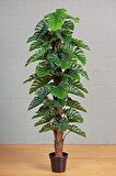 Yapay Çiçek Monstera Salon Sarmaşığı  Tropik Salon Bitkisi Yapay Ağaç 150cm