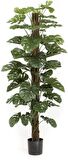 Yapay Çiçek Monstera Salon Sarmaşığı  Tropik Salon Bitkisi Yapay Ağaç 150cm