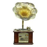 Gramofon Ahşap Standlı Plakçalar 135cm Radyo Bluetooth Usb Pikap C0352