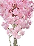 Yapay Ağaç Japon Kiraz Çiçeği Bahardalı Ağacı Sakura Çiçeği Pembe 180cm