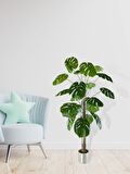Yapay Ağaç Monstera 18 Dallı Çalılı Gövde 120x60cm Gümüş Aleminyum Saksıda