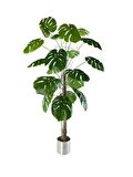 Yapay Ağaç Monstera 18 Dallı Çalılı Gövde 120x60cm Gümüş Aleminyum Saksıda