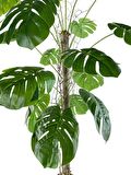 Yapay Ağaç Monstera 18 Dallı Çalılı Gövde 120x60cm Gümüş Aleminyum Saksıda