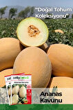 80 Adet Yerli Ata Ananas Kavun Tohumu