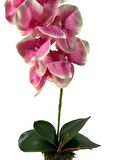 Yapay Çiçek Kütük Saksılı Tekdal Orkide PEMBE 50*30cm