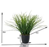 Yapay Çiçek Grass Saz Yapay Bitki Siyah Plastik Saksılı Dekoratif Süs Çiçeği