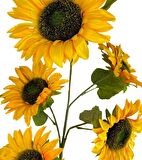 Yapay Çiçek Ayçiçeği Sarı Sunflower Dekoratif Çiçek 105cm Dev Ay Çiçeği 5 Kafalı