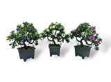 3lü Set Yapay Çiçek Bonsai Ağacı Çiçekli Model Dekoratif Yapay Ağaç Bonzai 30*15 CM Siyah Kare Saksıda