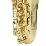 Roy Benson Ts-302 Tenor Saksafon (ileri Seviye - Eğitim Serisi) | Pirinç Gövde Ve Tuşlar, Yüksek Fa (high F#) Tuşu, C#-bb Bağlantı Mekanizması, Lake Bitiş | Uyum: Konservatuar Ve Bando Öğrencileri