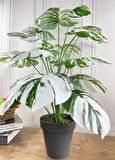 Yapay Ağaç Salon Bitkisi Beyaz Monstera 70 cm 18 Yaprak Antrasit Saksıda Deve Tabanı 