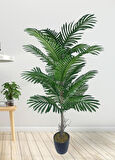 Yapay Ağaç Palmiye 16Yaprak Areka Ağacı Siyah Saksıda Tek Gövdeli 150*70Cm