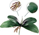 3lü Set Yapay Çiçek Orkide Yaprağı Doğal Görünüm 