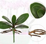 3lü Set Yapay Çiçek Orkide Yaprağı Doğal Görünüm 