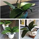 3lü Set Yapay Çiçek Orkide Yaprağı Doğal Görünüm 