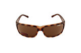 CARRERA CAR-SSTUDIO ONE CB3 61