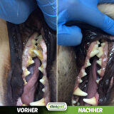 DİŞ HİJYEN MENDİLİ  60LI