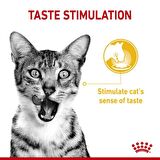 Royal Canin Sensory Tat Duyusu için Sos İçerisinde Yaş Kedi Maması 85g