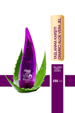 SOFTTO PLUS YAŞLANMA KARŞITI ALOE VERA JEL 250 ML