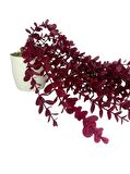 Yapay Çiçek Saksıda Sarkan Şimşir Bordo Okaliptus Yapay Sarmaşık Pastel 60cm