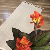 Hoom Rugs Bohho BH04 Bej İskandinav Modern Halı