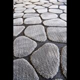 Hoom Rugs Indus 8001 Gri İskandinav Halı