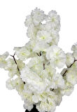 Yapay Ağaç Bahardalı Ağacı Beyaz Japon Kiraz Çiçeği Sakura Çiçeği 70cm Siyah Plastik Saksılı