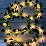 Led Sarmaşık Işıklı Yapay Sarmaşık ve Peri Led 210cm 