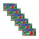 Vivident 45 dk Cüzdan Sakız Karpuz Aromalı 26 gr x 6 Adet