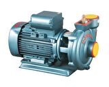 Domak SLG2 2HP MONOBLOK MONOFAZE ELEKTROPOMP