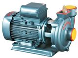Domak Slg200-2K 3Hp 220V Monoblok Elektropomplar