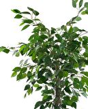 Yapay Ağaç Benjamin Yeşil SAlex Dallı 110*70cm Siyah Plastik Saksılı