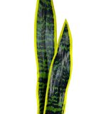 Yapay Çiçek Sansevieria Yeşil Kılıç Çiçeği 4 Adet 65cm Salon Çiçeği Yapay Bitki