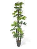 Yapay Ağaç Yelpaze Palmiye 5Katlı Fanpalm 40 Yaprak 180*65cm