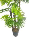 Yapay Ağaç Yelpaze Palmiye 5Katlı Fanpalm 40 Yaprak 180*65cm