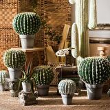 Yapay Çiçek Echinocactus Grusonii Altın Fıçı Kaktüs Siyah Saksıda 35*25m Cactüs  sk4010s