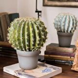 Yapay Çiçek Echinocactus Grusonii Altın Fıçı Kaktüs Siyah Saksıda 35*25m Cactüs  sk4010s