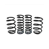 Honda Civic Type-R Fk8-Fl5 15/10 Mm Pro-Kit E10-40-036-06-22 Eibach  Spor Helezon Yay