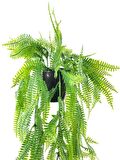 Yapay Çiçek Siyah Saksıda Sarkan Çiçek Boston Fern 