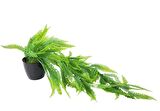 Yapay Çiçek Siyah Saksıda Sarkan Çiçek Boston Fern 