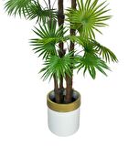 Yapay Ağaç Yelpaze Palmiye 4Katlı Fanpalm 32 Yaprak Altın Kemerli Beyaz Saksıda 170*65cm
