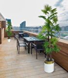 Yapay Ağaç Yelpaze Palmiye 4Katlı Fanpalm 32 Yaprak Altın Kemerli Beyaz Saksıda 170*65cm
