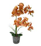 Yapay Çiçek 2li Somon Islak Orkide Seramik Saksıda Orkide 60cm