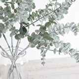 Yapay Çiçek Pastel Karlı Okaliptus 48cm 5Dallı Uzun Dal Eucalyptus