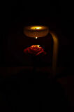 3D Yazıcı Üretimi Gül Işığı – Tealight Gece Lambası
