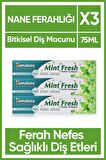 Mint Fresh Ferahlatıcı Diş Macunu, Bitkisel, Vejetaryen, Florürsüz, Parabensiz, 75 Ml 3 Adet
