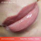 Perma Blend - Tina Davies Collection Dusty Pink 15 ml