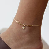 Deniz Kabuğu Halhal