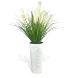 Yapay Çiçek Panpas Püskül Salon Bitkisi Beyaz Uzun Kumsal Vazoda 128*60cm 