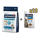 Advance Tavuklu Yetişkin Kedi Maması 3 Kg + 12 Adet Advance Tavuklu Yetişkin Kedi Pouch Yaş Maması 85 Gr