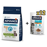 Advance Tavuklu Kısırlaştırılmış Yavru Kedi Maması 1,5 Kg + 12 Adet Advance Tavuklu Yavru Kedi Pouch Yaş Maması 85 Gr